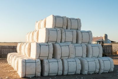 cotton bales